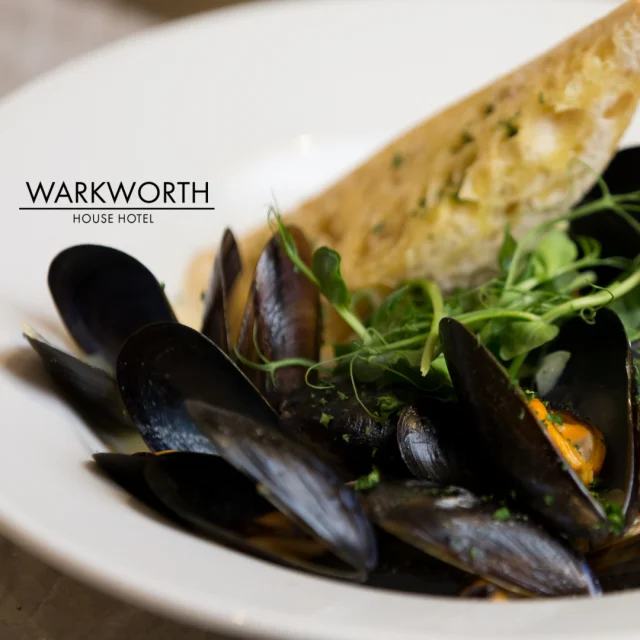 Fresh seafood available every day, local of course! Give us a call to book a table. 🍽️⁠
◻️⁠
✨ Make your booking today via the website link in bio! ✨⁠
◻️⁠
FOLLOW 📲 @hotelwarkworthhouse ⁠
WEBSITE 💻warkworthhousehotel.co.uk⁠
◻️⁠
#warkworthhouse #warkworthhousehotel #hotelwarkworthhouse #warkworthhotel #hotel #hotels #hotellife #ukhotels #britishhotels #hotelbreak #northumberland_uk #visitnorthumberland ⁠
#food #hotelfood #locallysourced #foodstagram #hotelfoodie #locallysourcedfood #freshingredients #englishfood #englishfoodie #ukfood #ukfoodie #hotelrestaurant #britishfood⁠